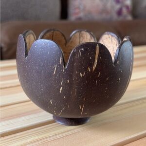 Elegant Brown Coconut Shell Bowl